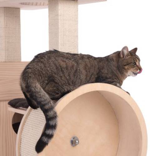 Kitty's Playhouse drapak dla kota  Kremowy - Zooplus Selection