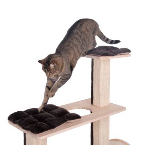 Kitty's Playhouse drapak dla kota  Kremowy - Zooplus Selection