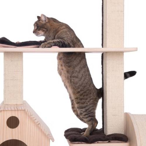 Kitty's Playhouse drapak dla kota  Kremowy - Zooplus Selection