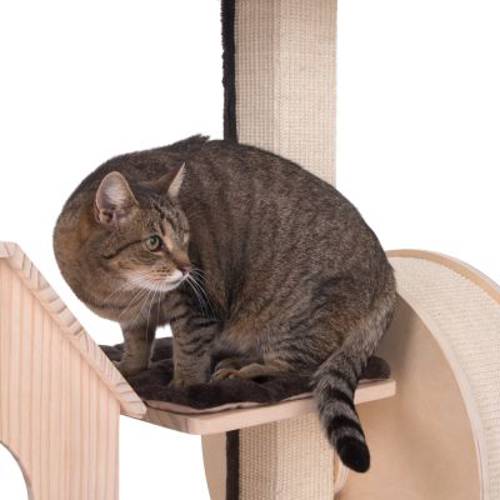 Kitty's Playhouse drapak dla kota  Kremowy - Zooplus Selection