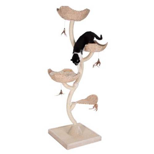 Cat's Flower XXL drapak dla kota Dł. x szer. x wys.: 55 x 55 x 183 cm - Zooplus Selection