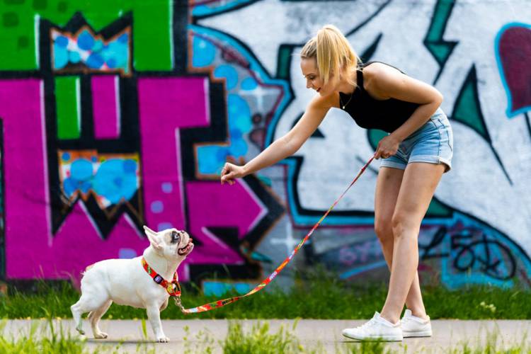 Obroża Zaciskowa Martingale - Graffiti Czerwone 0581 25MM 34-36CM - matteo-company