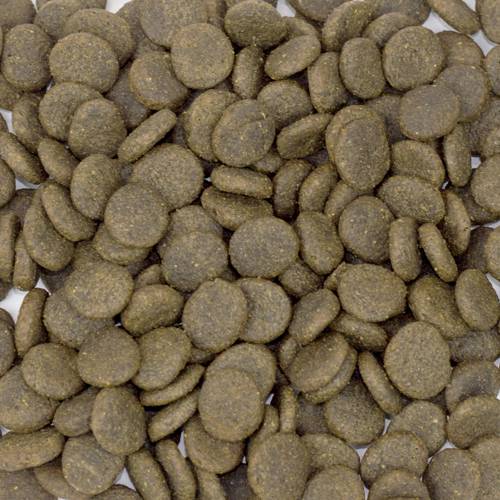 Karma sucha dla psa - Łosoś z pstrągiem, batatami i szparagami 2kg -