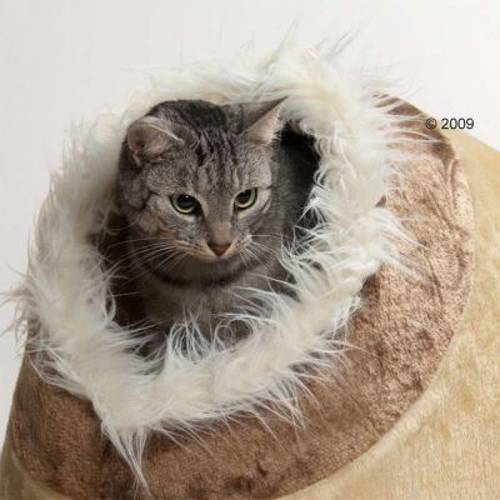 Trixie Minou budka dla kota Dł. x szer. x wys.: 41 x 35 x 26 cm, beżowo-brązowa - Trixie
