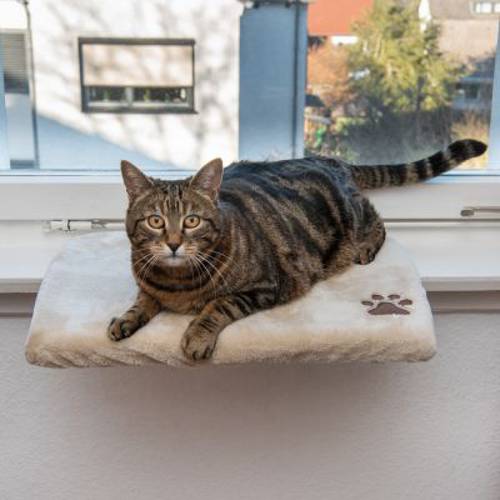 Pluszowe legowisko dla kota na parapet, beżowe Dł. x szer. x wys.: 50 x 35 x 5 cm - Zooplus Selection
