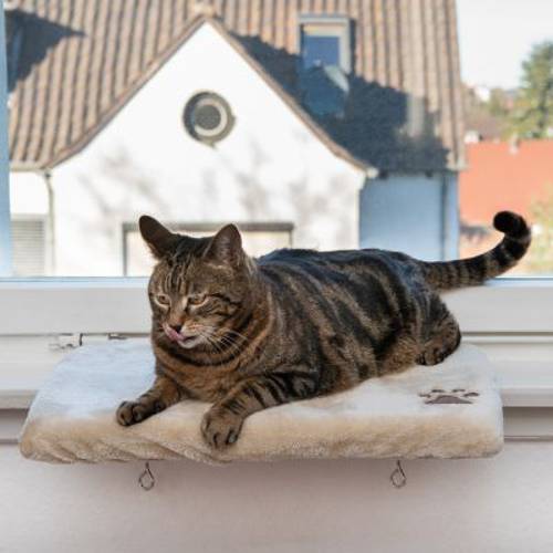 Pluszowe legowisko dla kota na parapet, beżowe Dł. x szer. x wys.: 50 x 35 x 5 cm - Zooplus Selection