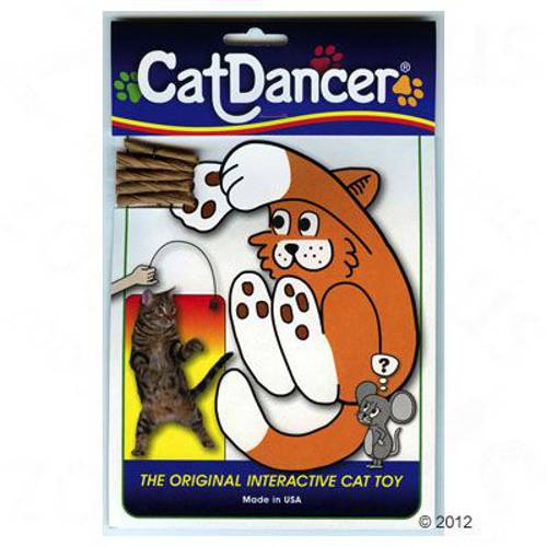 Cat Dancer wędka dla kota 3 szt. - Zooplus Selection