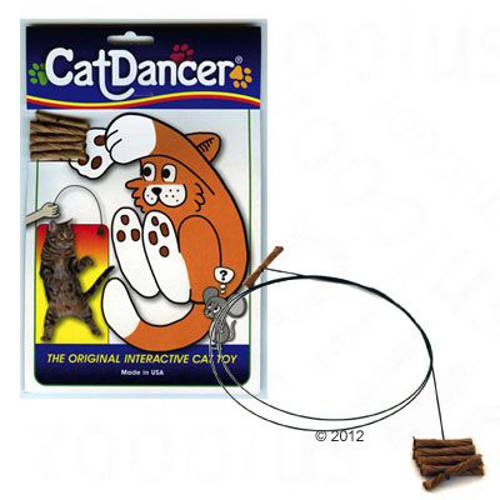 Cat Dancer wędka dla kota 3 szt. - Zooplus Selection