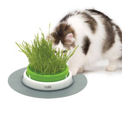 Catit Senses 2.0 miska z trawą Zestaw nasion trawy - Catit