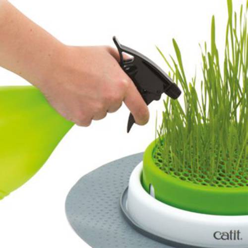 Catit Senses 2.0 miska z trawą Zestaw nasion trawy - Catit