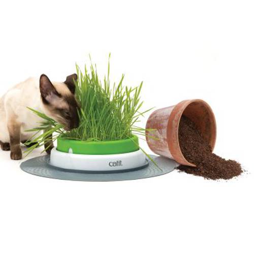 Catit Senses 2.0 miska z trawą Zestaw nasion trawy - Catit
