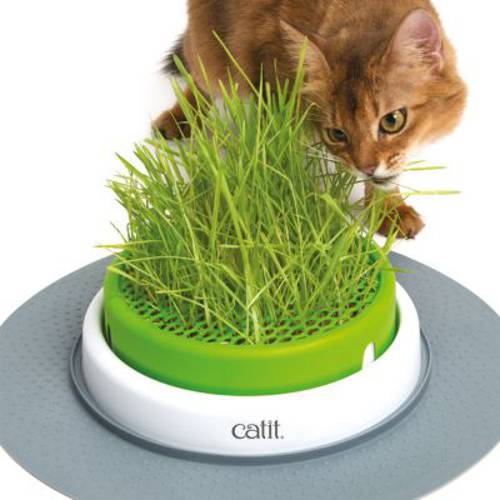 Catit Senses 2.0 miska z trawą Zestaw nasion trawy - Catit