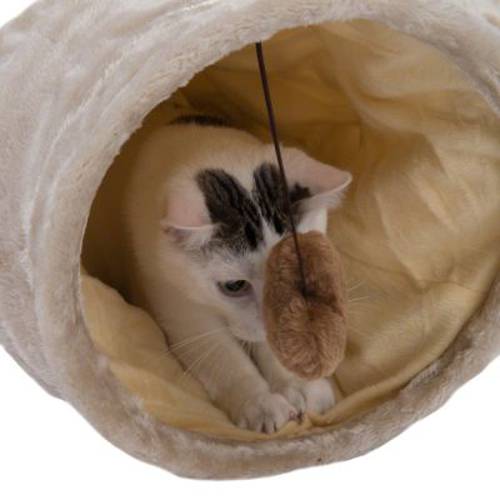 zoolove Tunel dla kota z poduszkami 1 szt. - Zooplus Selection