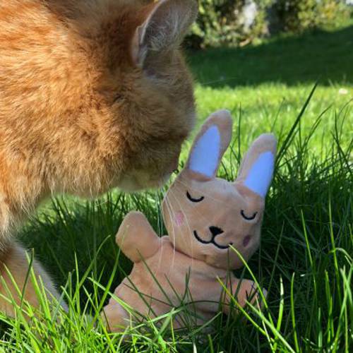 Aumüller Bunny zabawka dla kota, z walerianą i łuskami orkiszu 1 szt. - Aumuller