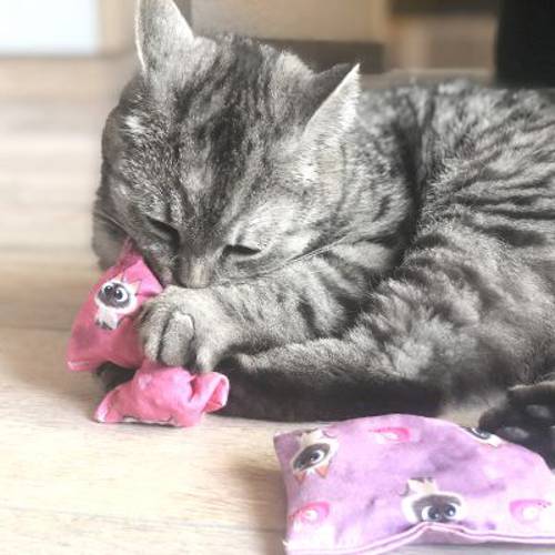 Aumüller Baldini poduszeczki z walerianą dla kota, edycja PETS 2 szt. - Aumuller