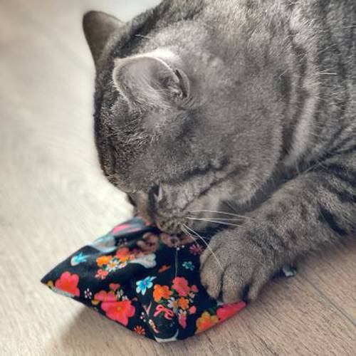 Aumüller Kitty poduszka z walerianą i orkiszem zabawka dla kota 1 szt. - Aumuller