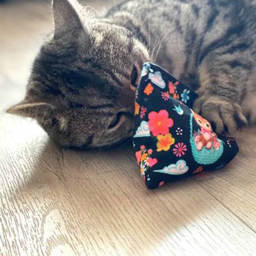 Aumüller Kitty poduszka z walerianą i orkiszem zabawka dla kota 1 szt. - Aumuller