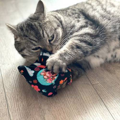 Aumüller Kitty poduszka z walerianą i orkiszem zabawka dla kota 1 szt. - Aumuller