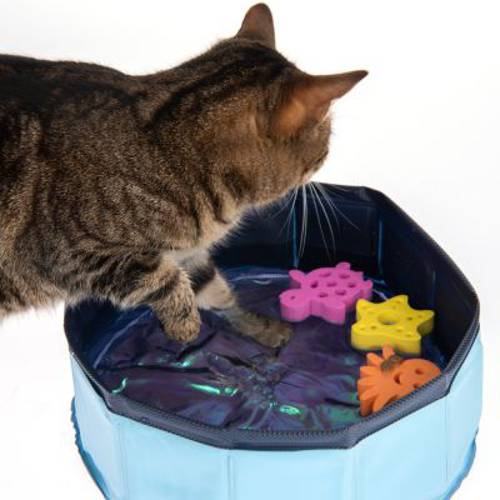 Kitty Pool, basen z zabawkami 1 szt. - Zooplus Selection