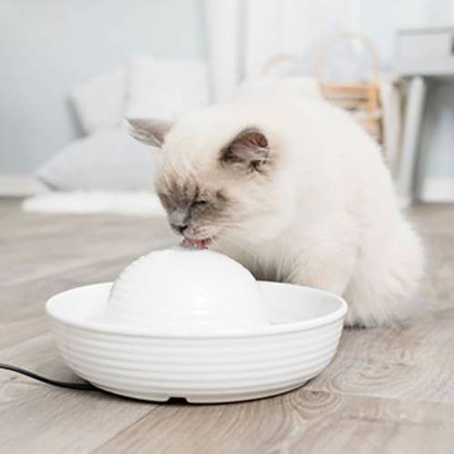 Trixie Vital Flow ceramiczne poidełko-fontanna 0,8 l - Trixie