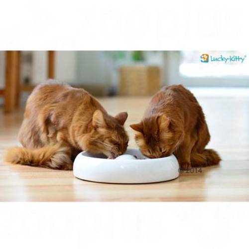 Lucky-Kitty miska ceramiczna 300 ml, Ø 18 cm - Zooplus Selection