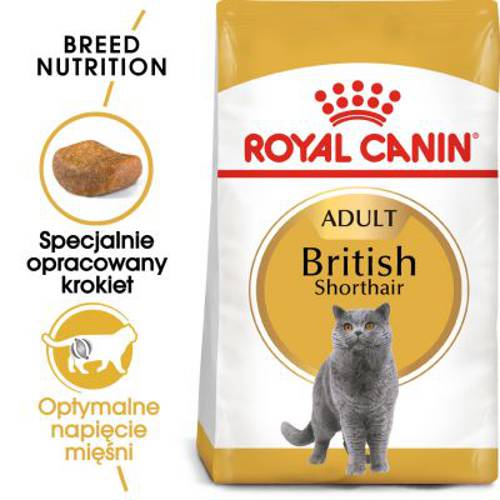 Royal Canin Breed British Shorthair Adult 2 kg