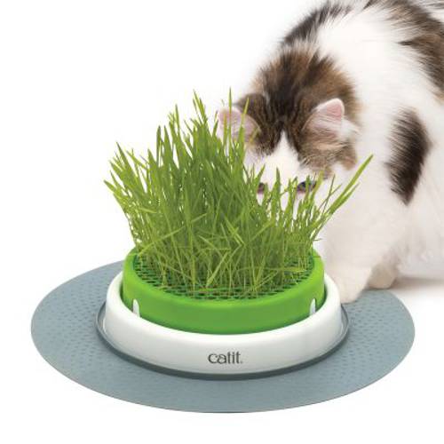 Catit Senses 2.0 miska z trawą Zestaw nasion trawy