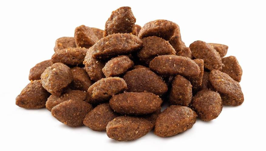 Brit Premium by Nature Sport 3kg -