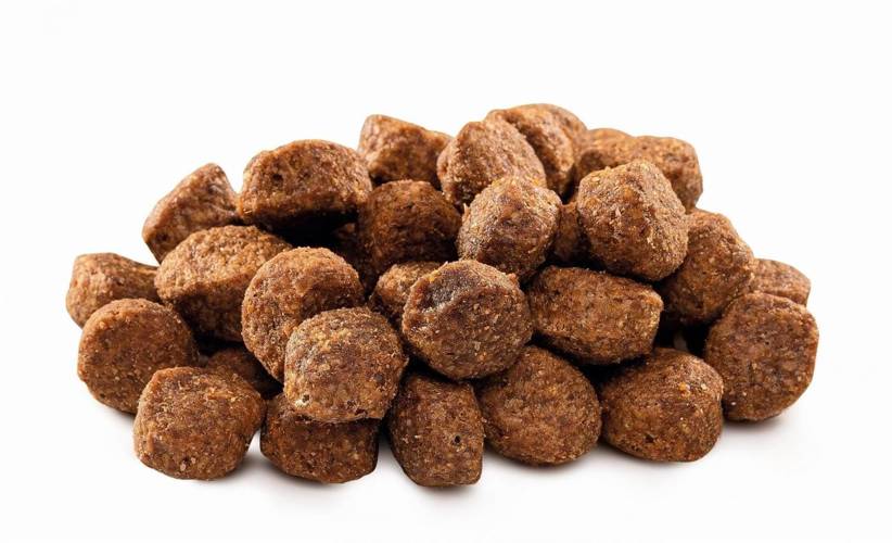 Brit Premium by Nature Senior S/M 3kg -