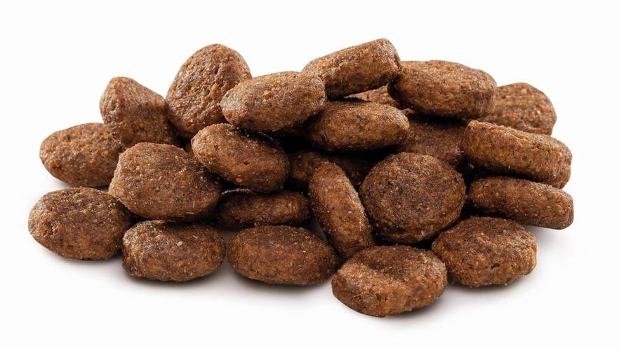 Brit Premium by Nature Junior L 3kg -