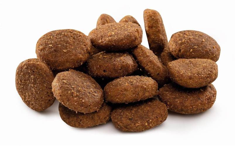 Brit Premium by Nature Junior XL 15kg -