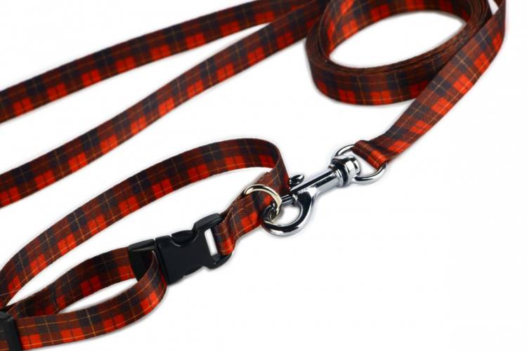 Obroża Klamra Plastikowa - Szkocka Krata 0516XXL 50MM 40-70CM - matteo-company