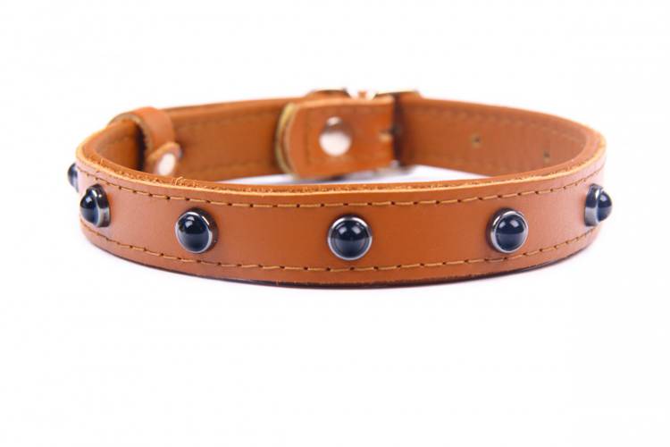 Obroża skóra Premium Kryształ - Brąz-Brąz 1321 24MM 44CM 33-41CM - matteo-company