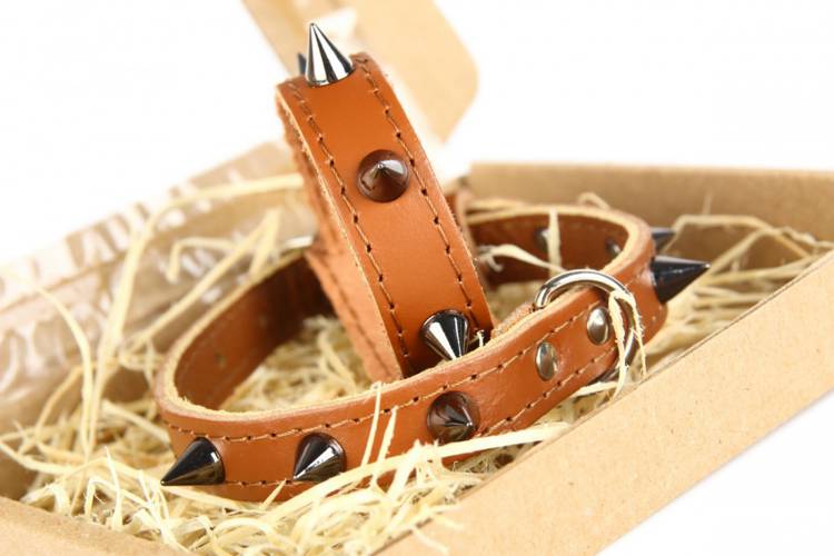 Obroża Skóra Kolec – Brązowa 0262 14MM 34CM 23-31CM - matteo-company