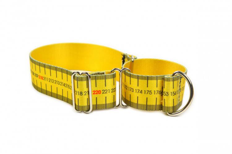 Obroża Zaciskowa Martingale - Miara 0594 40MM 36-50CM - matteo-company