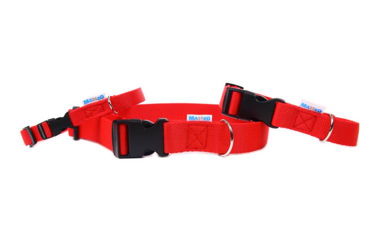 Obroża Klamra Plastikowa – Czerwona 0509 25MM 34-60CM - matteo-company