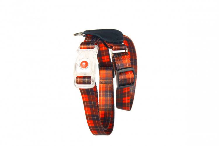 Szelki ze skórą - Szkocka Krata 0756 10MM 19-35CM - matteo-company