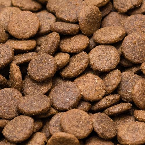 Karma sucha dla psa - Kurczak z batatami i ziołami 2kg -