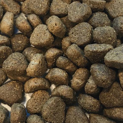 Karma sucha dla psa - Indyk z ryżem 2kg -