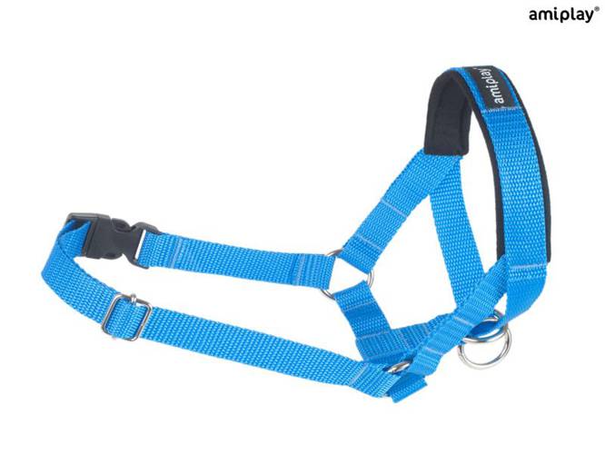 amiplay Halter Basic XXL Niebieski - amiplay