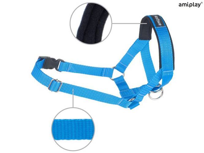 amiplay Halter Basic XXL Niebieski - amiplay