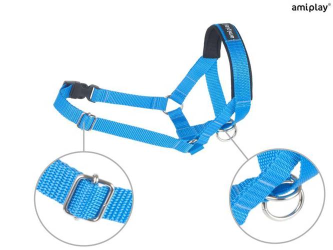 amiplay Halter Basic XXL Niebieski - amiplay