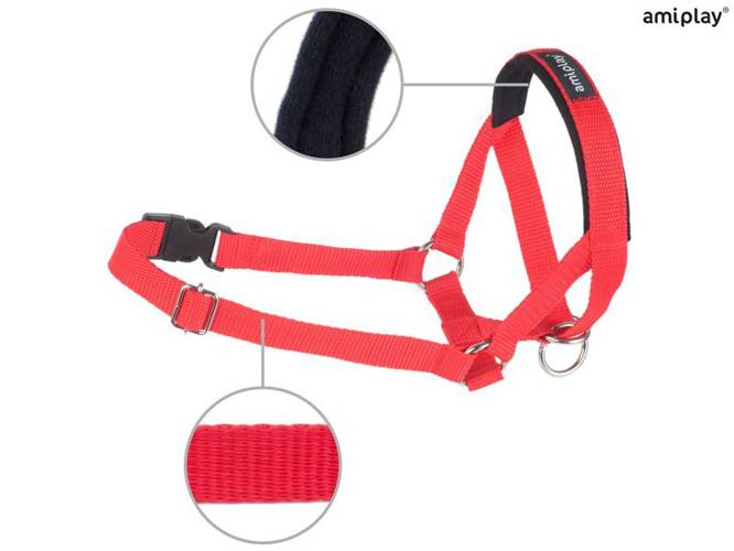 amiplay Halter Basic XXL Czerwony - amiplay
