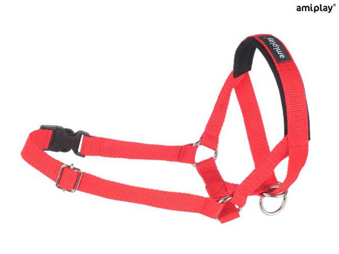 amiplay Halter Basic XL Czerwony - amiplay