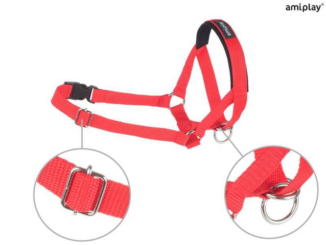 amiplay Halter Basic L Czerwony - amiplay