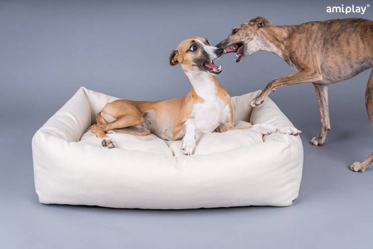 amiplay Sofa Palermo XL - amiplay