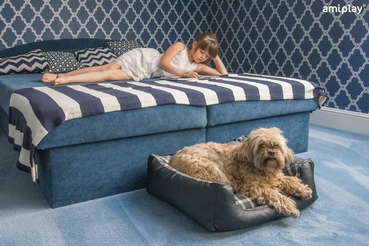 amiplay Sofa ZipClean 4 in 1 Kent S - amiplay