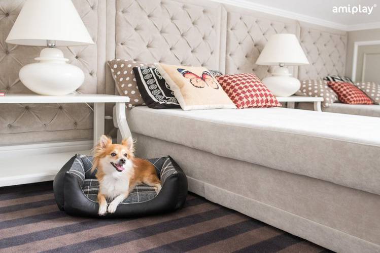 amiplay Sofa ZipClean 4 in 1 Kent S - amiplay