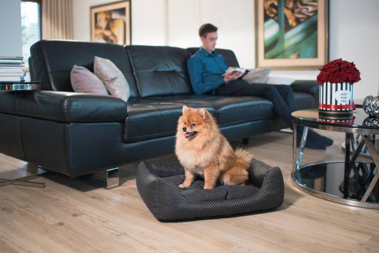amiplay Sofa ZipClean 4 in 1 Morgan XS -