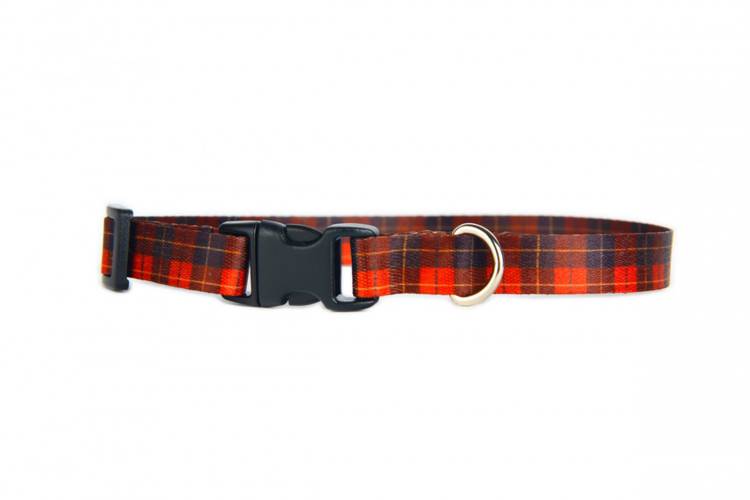 Obroża Klamra Plastikowa - Szkocka Krata 0516XXL 50MM 40-70CM - matteo-company
